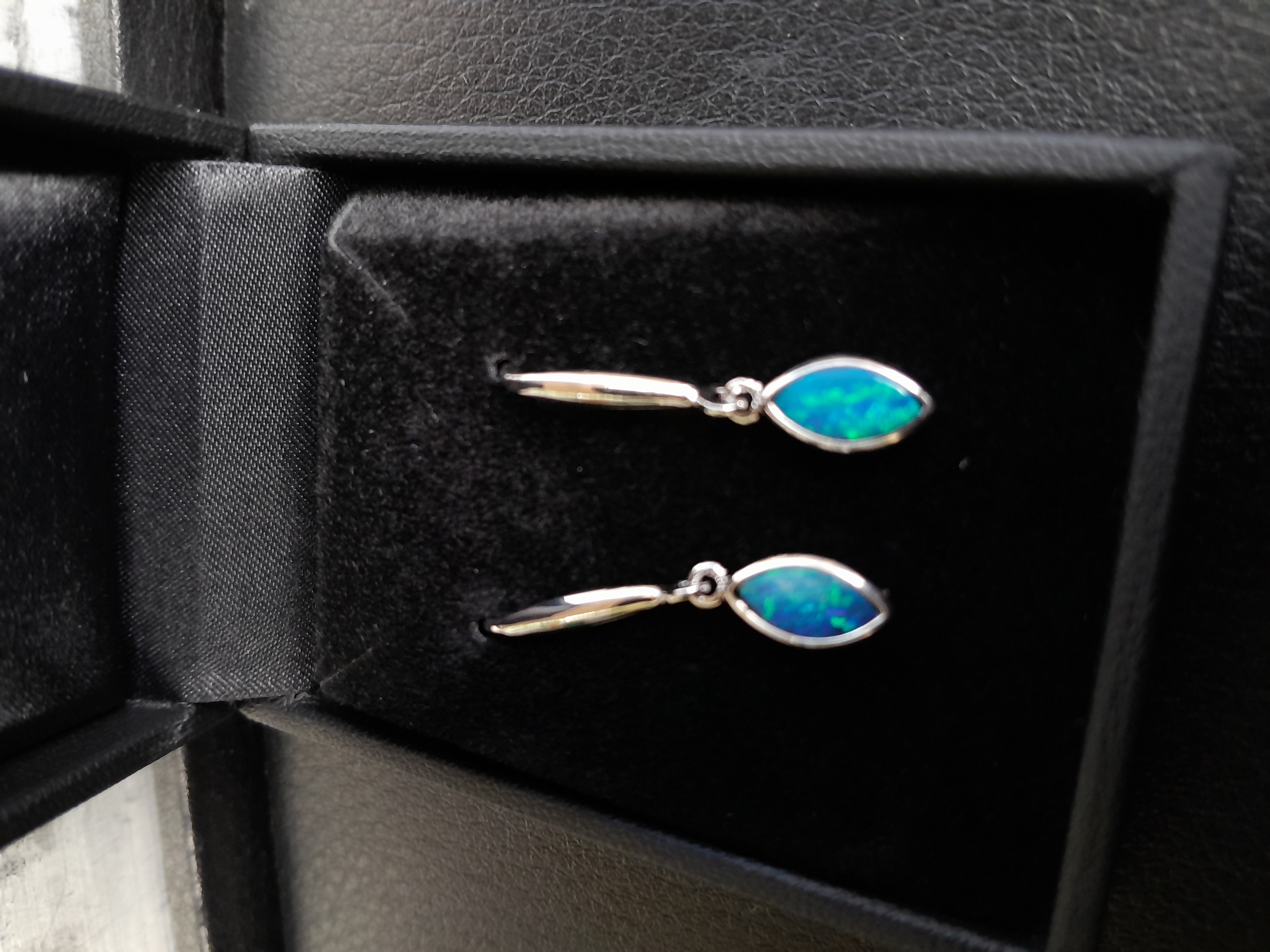 Fossil Creations in Coober Pedy